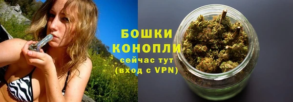 круглые Бронницы