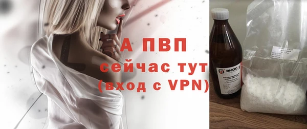 спиды Богородицк