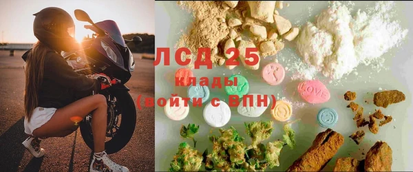 спиды Богородицк