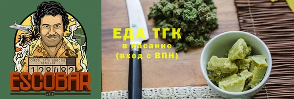 спиды Богородицк