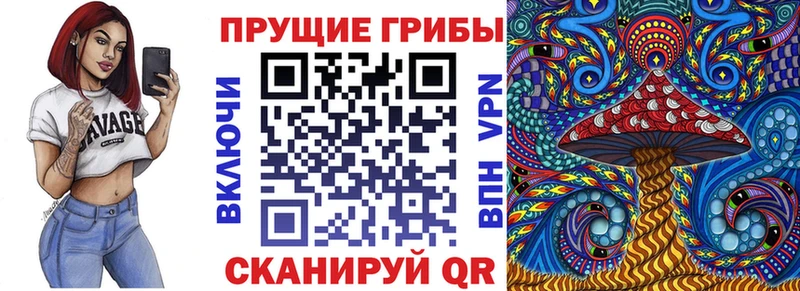 Галлюциногенные грибы Psilocybe  Благодарный 